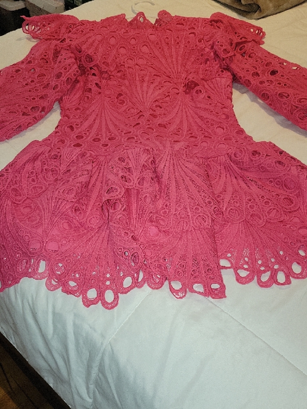 Hot Pink Lace Ruffled Mini Dress - Picture 2 of 11
